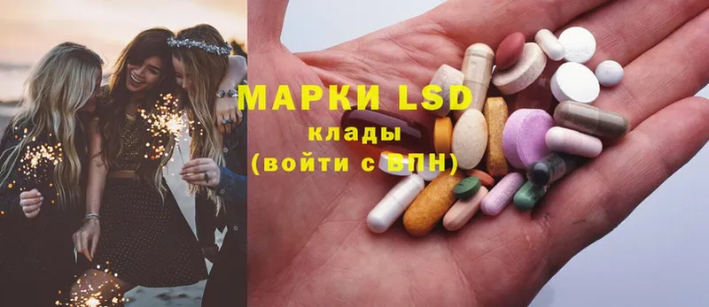 LSD-25 экстази кислота Болотное